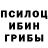 Псилоцибиновые грибы Magic Shrooms donna paquette