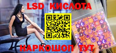 spice Гатчина
