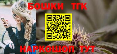 spice Гатчина