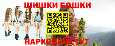 spice Гатчина