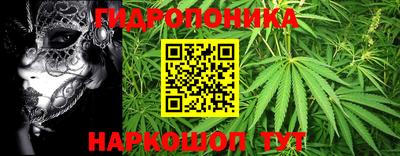 прущие грибы Азнакаево