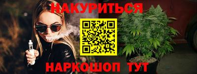 spice Гатчина