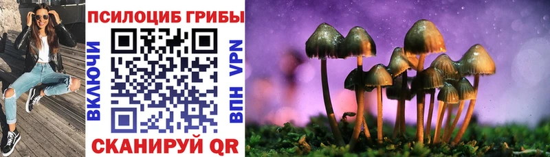где купить наркотик  Алатырь  Галлюциногенные грибы Psilocybine cubensis 