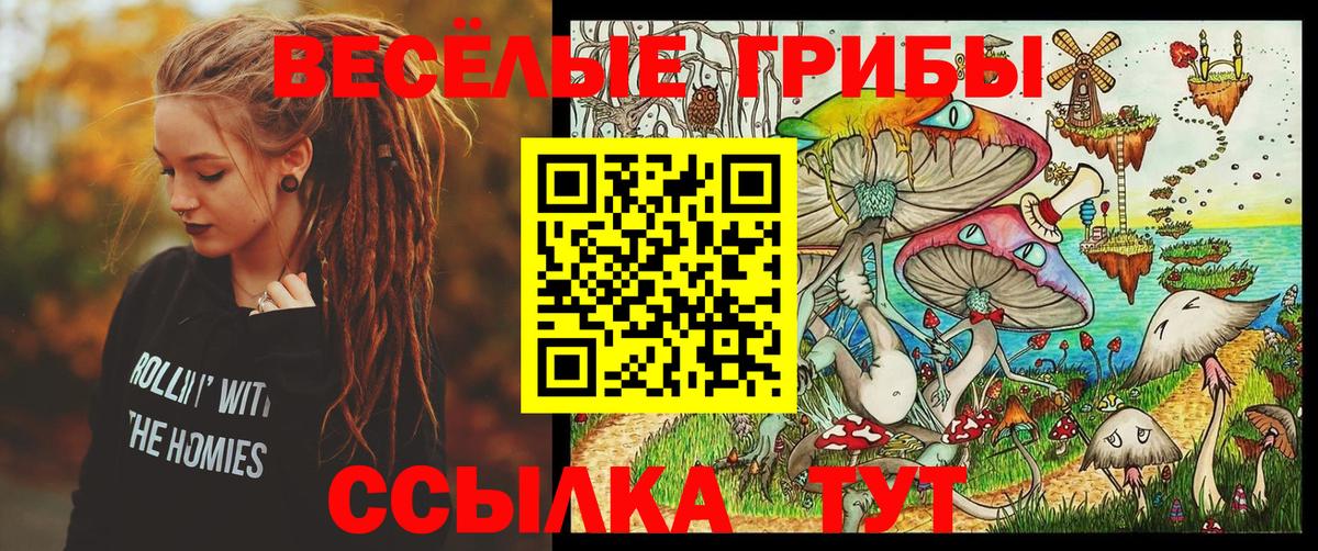 Галлюциногенные грибы мицелий  Вход с VPN  где продают   Алатырь 