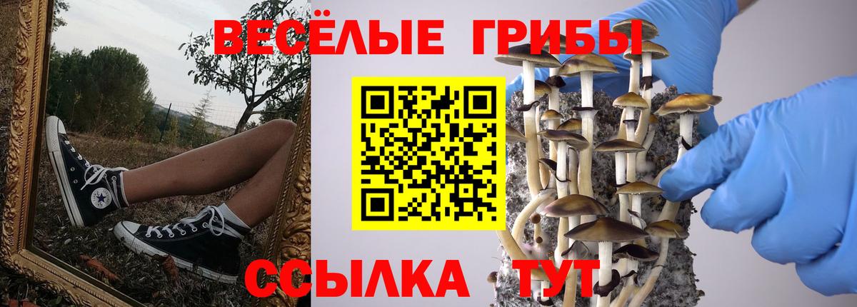 Псилоцибиновые грибы GOLDEN TEACHER Алатырь