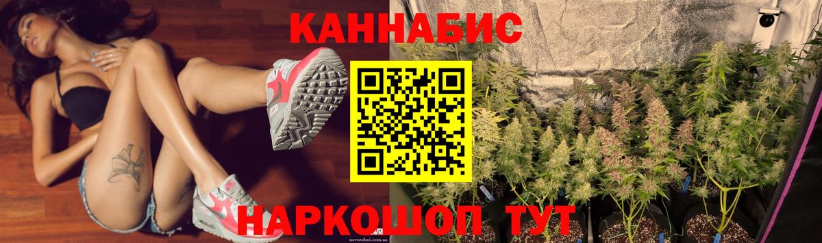МАРИХУАНА семена Алатырь